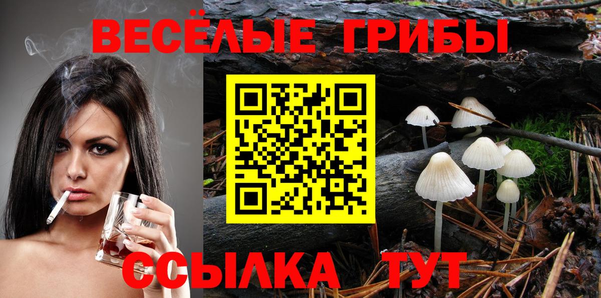Галлюциногенные грибы Cubensis Славянск-на-Кубани