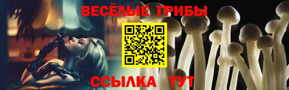 Псилоцибиновые грибы ЛСД  Галлюциногенные грибы прущие грибы  Славянск-на-Кубани  Вход с VPN 
