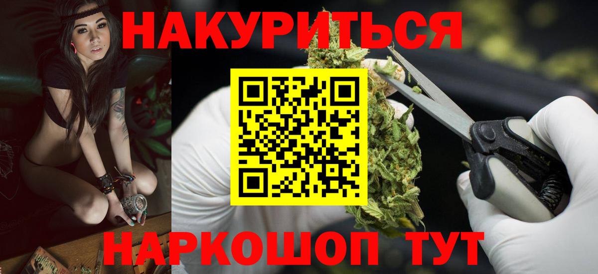 Конопля планчик Славянск-на-Кубани